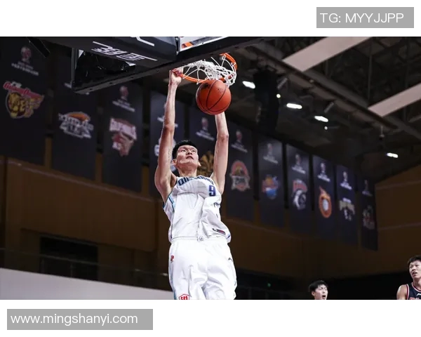 中国篮球明星雨的崛起与未来发展探索之路